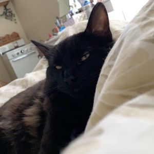 Meet your Posher, Lorena